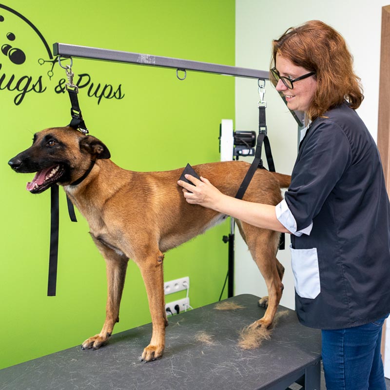 Hugs & Pups - vachtverzorging en trimsalon